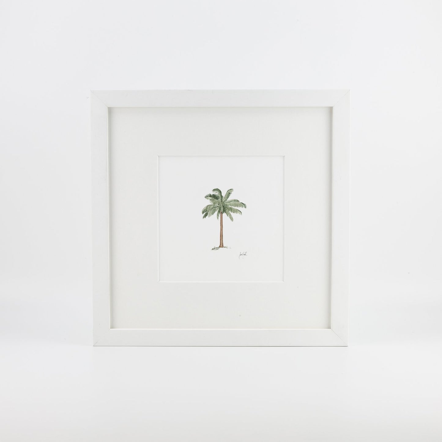 Palm