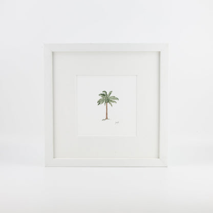 Palm