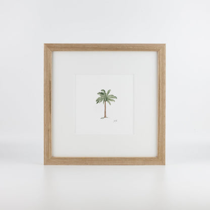 Palm