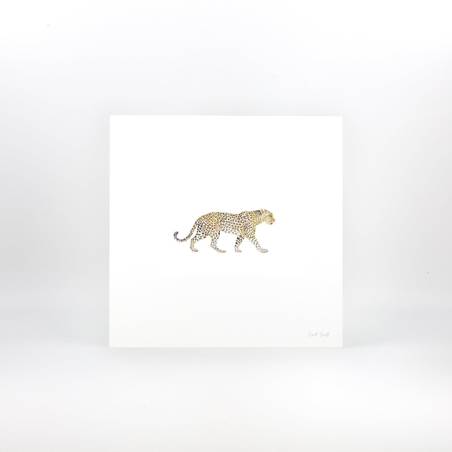 Leopard