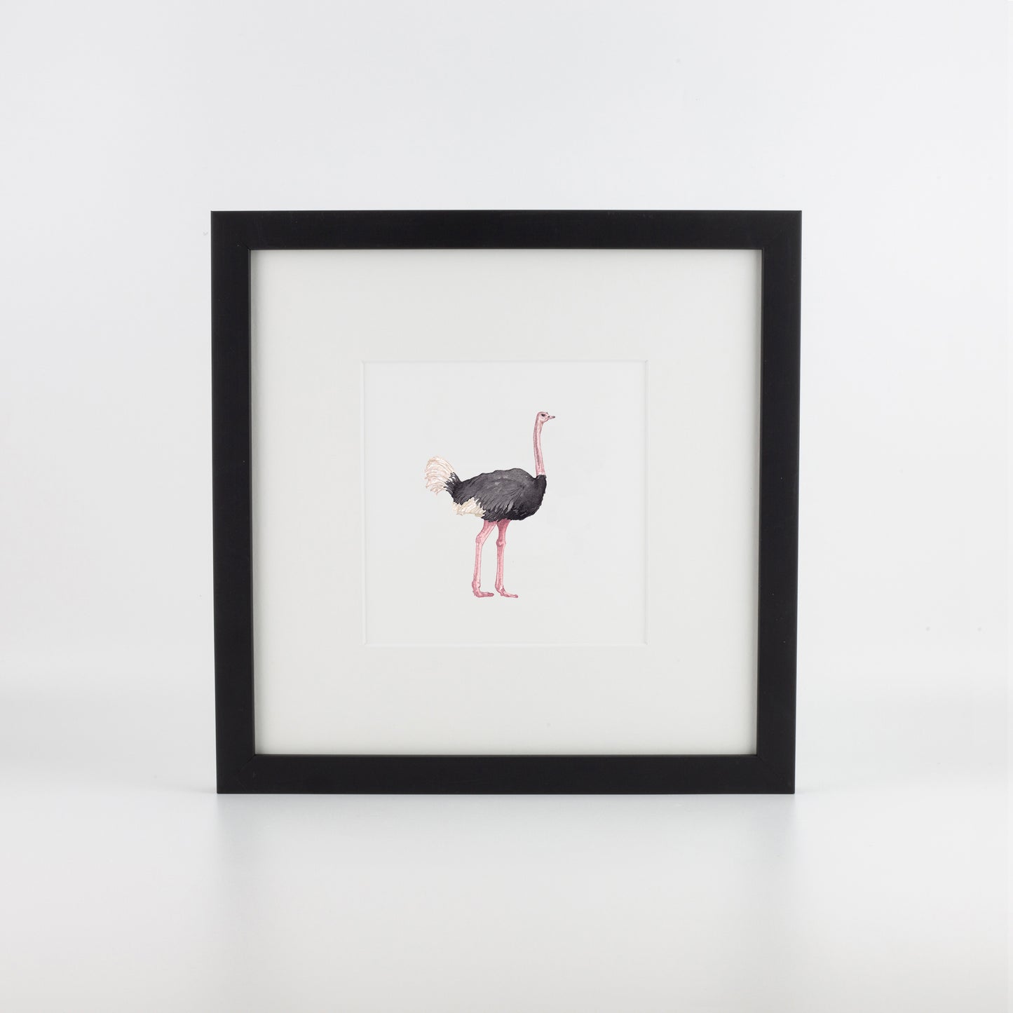 Ostrich