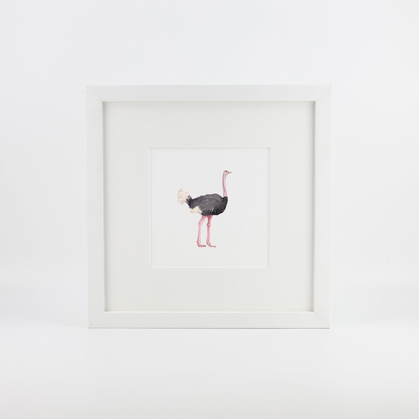 Ostrich