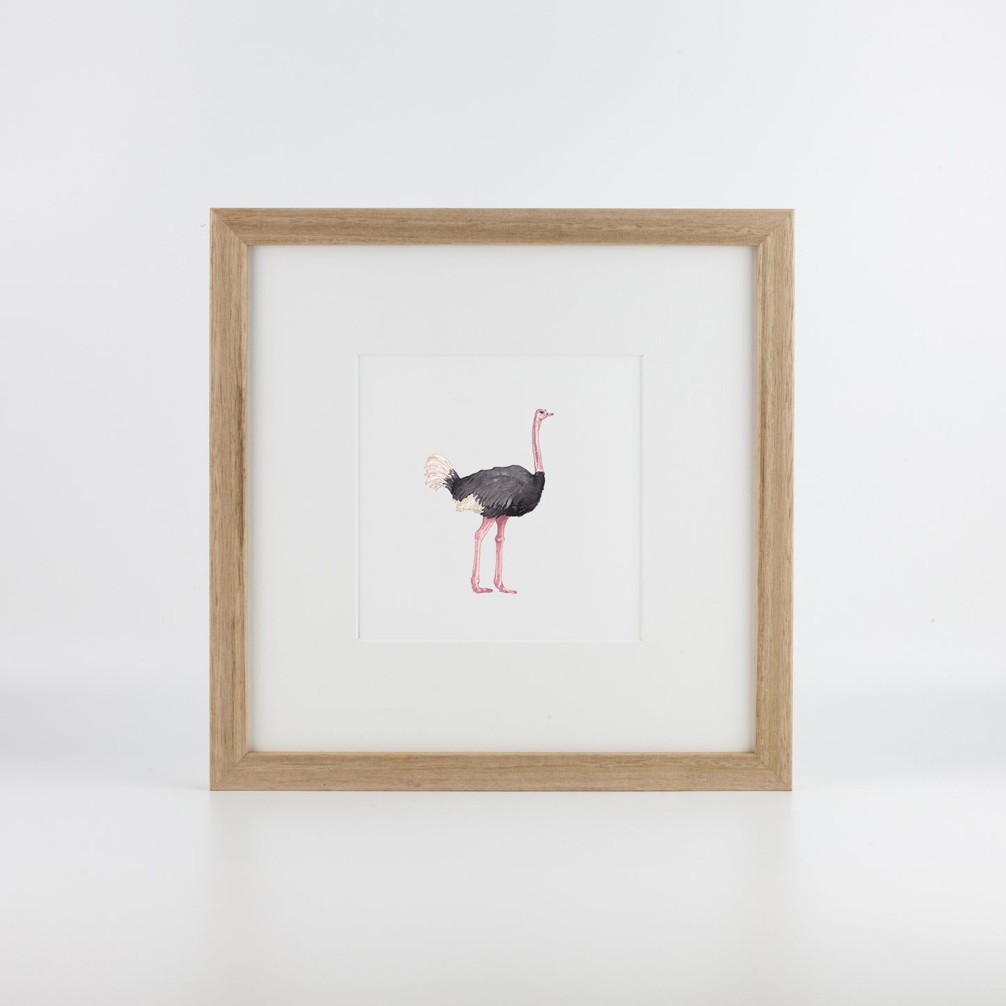 Ostrich
