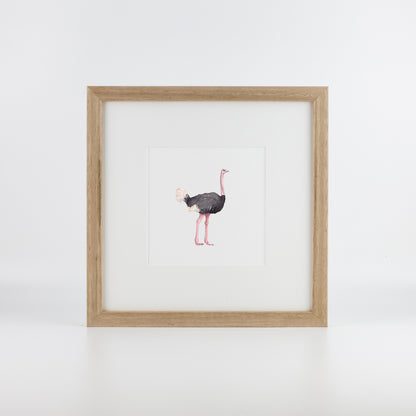 Ostrich
